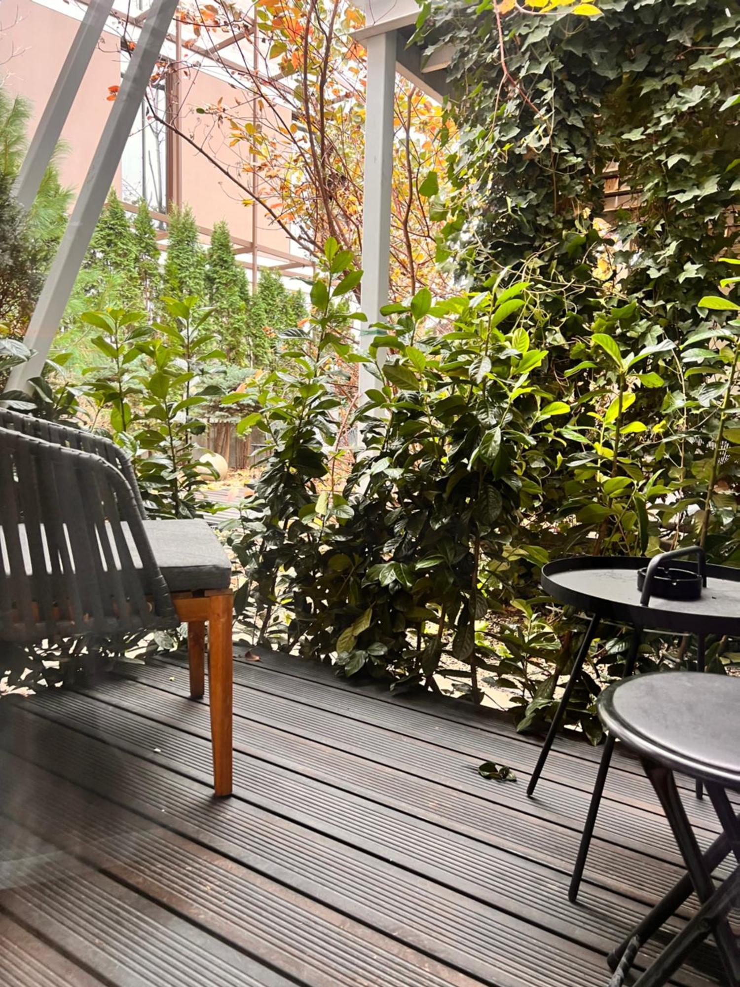 בראשוב Shard Boutique Hotel-Adult Only מראה חיצוני תמונה